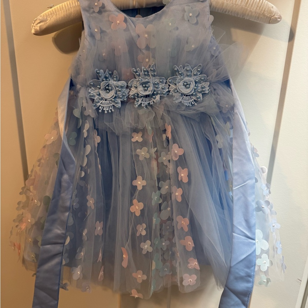 Blue Floral Tulle Dress